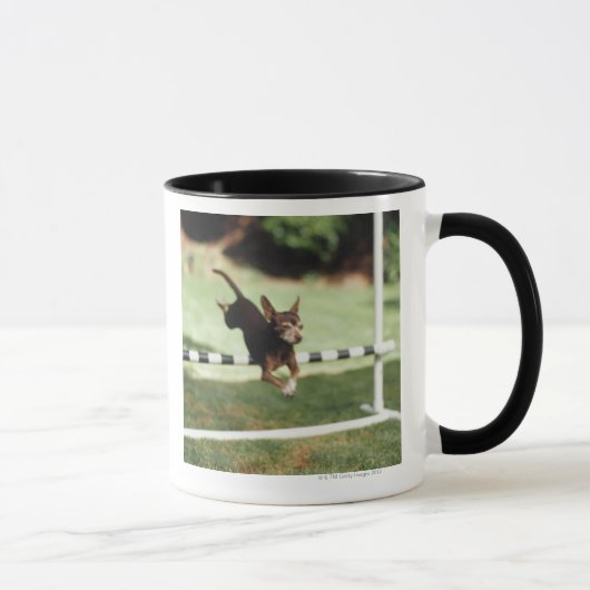 Chihuahua Jumping Hurdle Mok (Rechts)