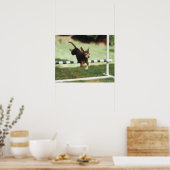 Chihuahua Jumping Hurdle Poster (Keuken)