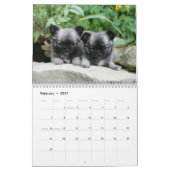 Chihuahua Kalender (Feb 2027)