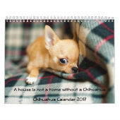 Chihuahua Kalender 2017 Foto Huis Is Geen Thuis (Hoes)