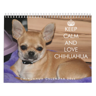 Chihuahua Kalender 2025 Blijf kalm en houd van lie