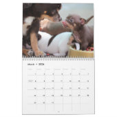 Chihuahua Kalender 2026 Blijf kalm en houd van lie (Mar 2026)