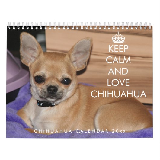 Chihuahua Kalender 2026 Blijf kalm en houd van lie (Hoes)