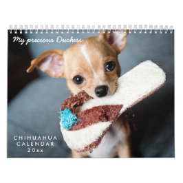 Chihuahua Kalender 2026 Uw Huisdier Foto's