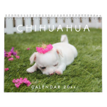 Chihuahua Kalender 2026 Voeg je foto's toe