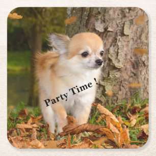 Chihuahua Kartonnen Onderzetters