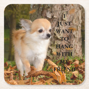 Chihuahua    kartonnen onderzetters