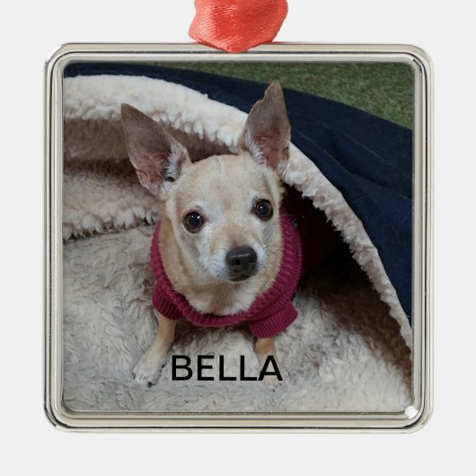 CHIHUAHUA KEEPSAKE METALEN ORNAMENT (Voorkant)