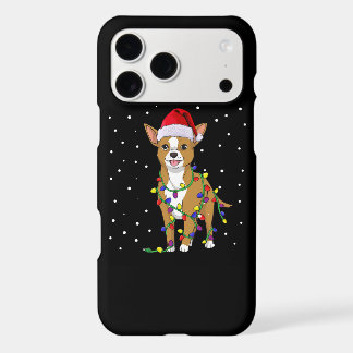 Chihuahua Kersthond