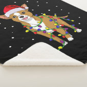 Chihuahua Kersthond Sherpa Deken (3/4)