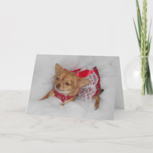 Chihuahua Kerstkaart Feestdagen Kaart (Voorkant)
