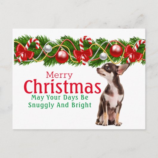 Chihuahua kerstkaart feestdagenkaart (Voorkant)