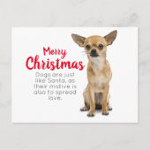 Chihuahua kerstkaart feestdagenkaart (Voorkant)