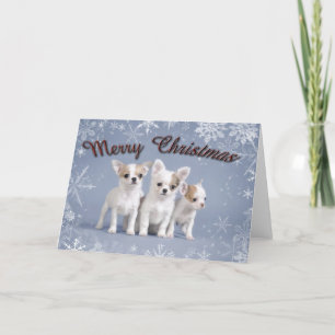Chihuahua Kerstmis Feestdagen Kaart