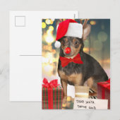 Chihuahua Kerstmis Feestdagenkaart (Voorkant / Achterkant)