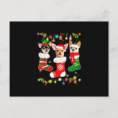 chihuahua kerstmis geeft grappige kersthond lov aankondigingskaart (Voorkant)