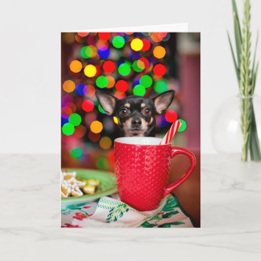 Chihuahua Kerstmis Kaart (Voorkant)