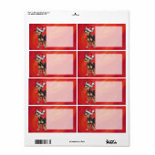 Chihuahua Kerstmis op rood Etiket (Full Sheet)