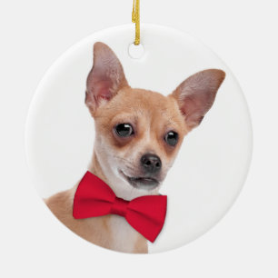 Chihuahua kerstversier keramisch ornament