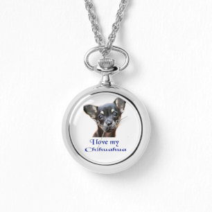 Chihuahua kijkt horloge