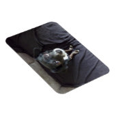 Chihuahua kijkt naar je flexibele magneet (Rechterzijde)