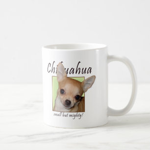 Chihuahua, klein maar machtig koffiemok
