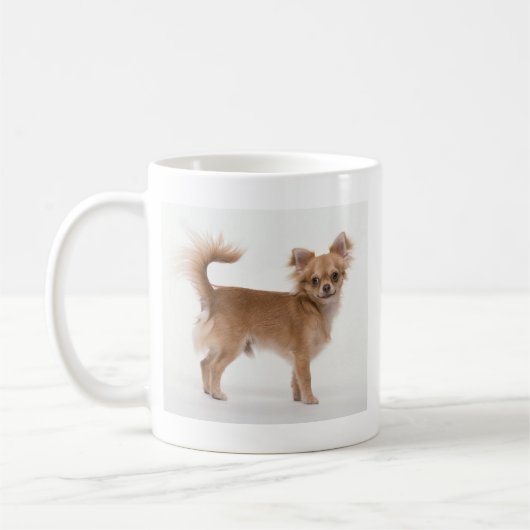 Chihuahua Koffiemok (Links)