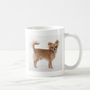 Chihuahua Koffiemok