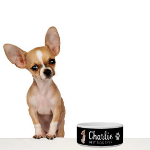Chihuahua-kom Voerbakje