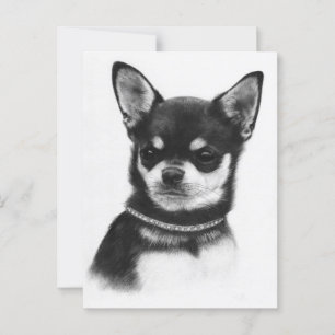Chihuahua Koninklijk - Handgeschilderde Kunst Briefkaart