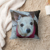 CHIHUAHUA KUSSEN (Deken)