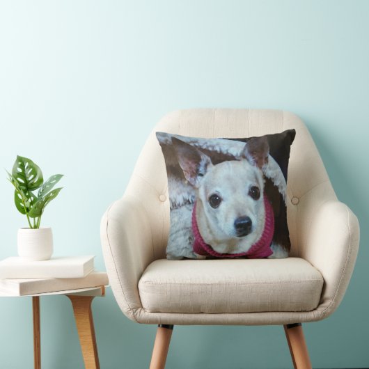 CHIHUAHUA KUSSEN (Stoel)