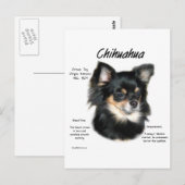 Chihuahua (lang) Geschiedenis Ontwerp Briefkaart (Voorkant / Achterkant)