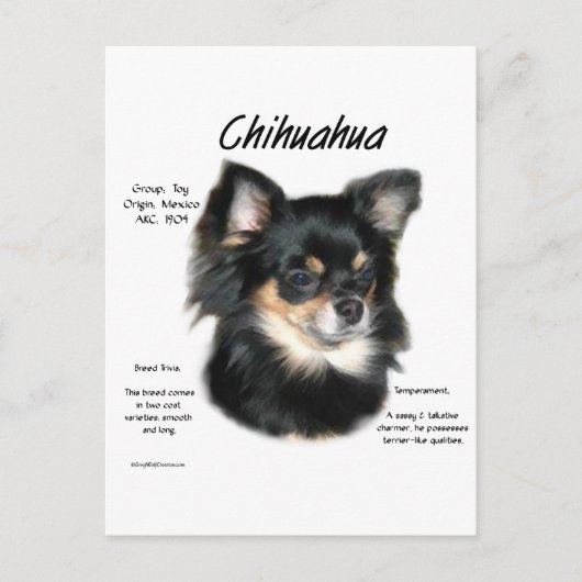 Chihuahua (lang) Geschiedenis Ontwerp Briefkaart (Voorkant)