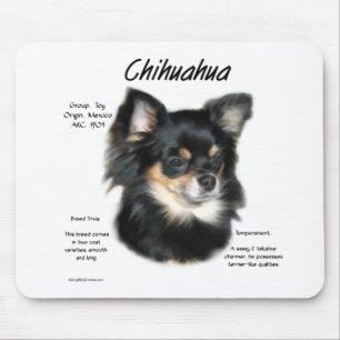 Chihuahua (lang) Geschiedenis Ontwerp Muismat