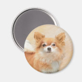 Chihuahua langharige hond schilderij originele kun magneet (Voorkant / Achterkant)