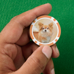 Chihuahua langharige hond schilderij originele kun poker chips