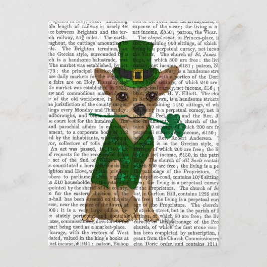 Chihuahua Leprechaun Briefkaart (Voorkant)