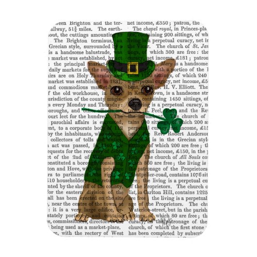 Chihuahua Leprechaun Magneet (Verticaal)