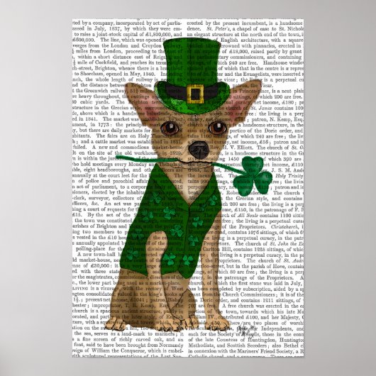Chihuahua Leprechaun Poster (Voorkant)