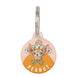 Chihuahua leuke leuke roze oranje pet hond huisdierpenning