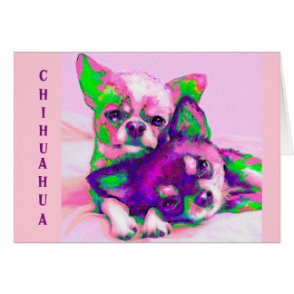 chihuahua-liefde