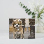 Chihuahua Lion met Horns Briefkaart (Staand voorkant)