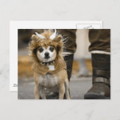 Chihuahua Lion met Horns Briefkaart (Voorkant / Achterkant)