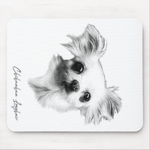Chihuahua longhair dog_Hondenliefhebber Muismat