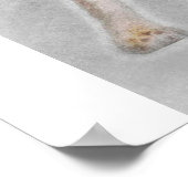 Chihuahua looking at camer_Dog Lover Poster (Hoek)