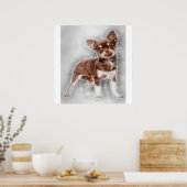 Chihuahua looking at camer_Dog Lover Poster (Keuken)