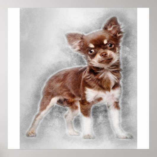 Chihuahua looking at camer_Dog Lover Poster (Voorkant)