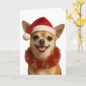 Chihuahua looking cheeky Santa hat Christmas card Kaart (Gele Bloem)