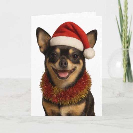 Chihuahua looking cheeky Santa hat Christmas card Kaart (Voorkant)